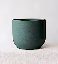 Broadway Sea Spray Pot 19cm Image