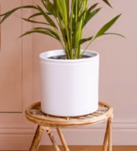 White Lucca Pot 23cm Image