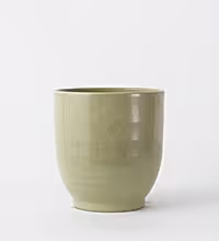 Green Ares Pot 23cm Image