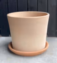 Contemporary Terracotta Pot with Saucer (20cm) Image