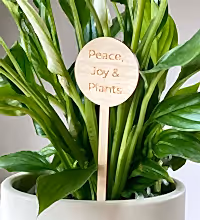 Peace, Joy & Plants Plant Pick Image