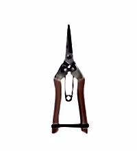 Pink Secateurs Image