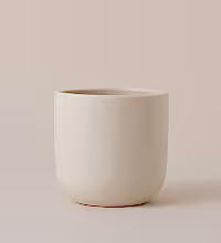 Oyster Earthenware Pot (16cm) Image