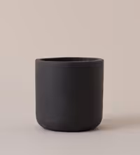 Dark Grey Concrete Pot (16cm) Image