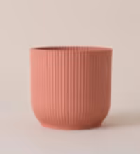 Rose Elho Vibes Pot (25cm) Image