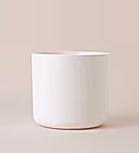 White Elho Matt Pot (25cm) Image